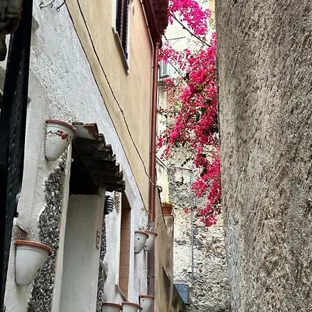 Melody Garden Calabria *